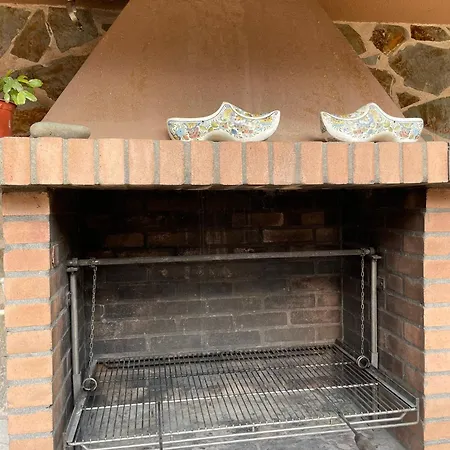 Salgueiro En San Pedro Villa Cangas